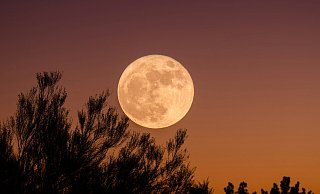 Der erste Supermond des Jahres 2025 erhellt im Oktober den Nachthimmel über OWL. - Symbolbild: Unsplash