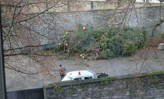 Am Klarissenkloster wurden Tannen, Fichten und Sträucher entfernt, weil die Wurzeln bis unter die denkmalgeschützte Umfassungsmauer reichten. - Michael Wolf