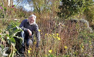 Gerd Teuteberg schneidet die Stauden in seinem naturnahen Garten erst im Frühjahr zurück. - Frank-Michael Kiel-Steinkamp