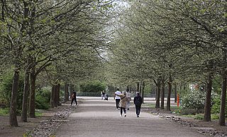 Die Allee des Weltklimas mit ihren zart ergrünenden Platanen war am Osterwochenende eine beliebte Flaniermeile. - Jörg Stuke