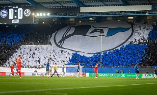 Die Arminia-Fans gaben ihrer Mannschaft mit einer großen Choreographie vor dem Anpfiff noch einmal ordentlich Rückenwind. - Sarah Jonek