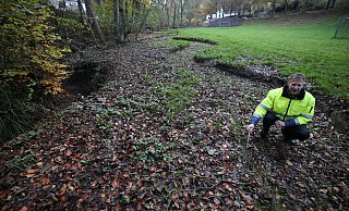 Carsten Vogt, Landschaftsarchitekt und Wasserbauingenieur, zeigt, wie flach das neue Bett im Unterlauf des Ziegenbachs angelegt ist. Der Bach hat sich in seinem alten Bett (links) schon zwei Meter tief in die Landschaft eigegraben. - Jörg Stuke