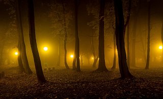 Nächtliche Beleuchtung in Bad Lippspringe soll eingeschränkt werden, fordern die Grünen im Stadtrat. - (Symbolbild) Pixabay