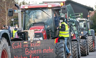 04.01.2024, Bayern, Günzburg: Der Schädel eines toten Rindes samt eines Plakats mit der Aufschrift "Gibt es keine Bauern mehr, bleiben eure Teller leer" sind bei einer Kundgebung des Bauernverbandes gegen die Sparpläne der Bundesregierung an einem Traktor angebracht. Mit mehr als 500 Traktoren demonstrierten Landwirte aus Nordschwaben und Ost-Württemberg. Foto: Stefan Puchner/dpa +++ dpa-Bildfunk +++ - Stefan Puchner