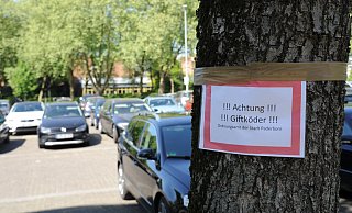 Vorsicht: Das Ordnungsamt machte am Maspernplatz mit einem Schild auf die vermeintlichen Giftköder aufmerksam. Hier sollten Hundehalter ihre Vierbeiner anleinen und nicht aus den Augen lassen. - Birger Berbüsse