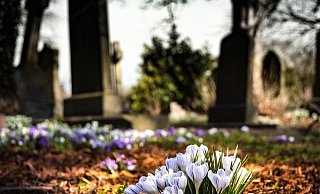"Wir können nicht länger zusehen, wie auf unserem friedlichen Friedhof mitten im Tal Sondermüll entsorgt wird", ärgert sich die Pfarrerin. - (Symbolbild): Pixabay