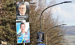 Die CDU, aber auch die in Teilen rechtsextremistische AfD gehört zu den großen Wahlgewinnern im Kreis Höxter. Hier Wahlwerbung an der Brenkhäuser Straße in Höxter. Foto: David Schellenberg - David Schellenberg