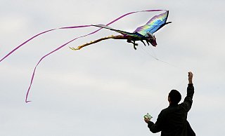 Drachen steigen zu lassen, soll eigentlich Spaß machen. Doch stürzt der Drachen ab und verletzt jemanden, hört der Spaß schnell auf - besonders, wenn die Privathaftpflicht nicht greift. - Franziska Gabbert/dpa-tmn