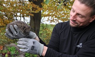 Jochen Ganzmann mit einem der kleinen Igel auf der Hand. - Anne Neul
