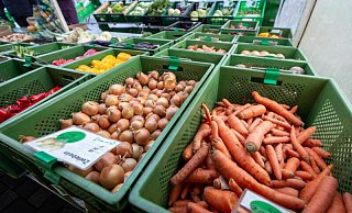 Der Wochenmarkt in Paderborn zieht während der Weihnachtszeit auf den Liboriberg. - Niklas Tüns