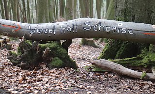 Ob es wirklich Trolle im Wiehengebirge gibt? - Björn Kenter