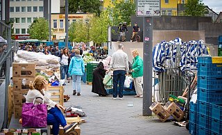 Ein Händler irritiert mit seinen lebenden Tieren auf dem Markt am Kesselbrink die Kunden. - Mike-Dennis Müller (Archiv)