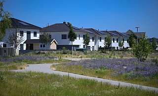 Wer ein Eigenheim besitzt, könnte sich fürs Alter mit einer Immobilienrente Luft verschaffen. - picture alliance/dpa/dpa-Zentralbild