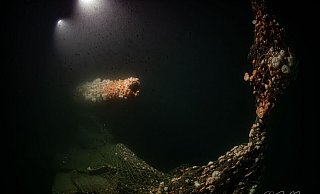 Die Tauchgänge fanden nach Angaben des Teams in großer Tiefe und unter herausfordernden Bedingungen statt. - Dr. Steffen G. Scholz/ProjectXplore /dpa