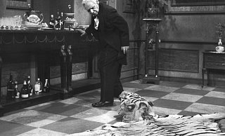 So wie der Tigerkopf im Kultsketch "Dinner for One" ein Risiko für Butler James darstellt, bieten auch Löhner Ratssitzungen diverse Stolperfallen für die Politiker. - picture-alliance/ dpa
