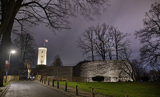 Abends werden Turm und Mauerteile der Burg beleuchtet. Doch wegen des FFH-Gebiets muss die Stadt auf Dunkelkorridore für die Fledermäuse achten. - Oliver Krato