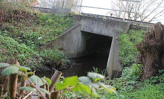 Der Markbach plätschert unter der Bahnlinie hindurch. Dieser Durchlass muss noch vergrößert werden. - Florian Weyand