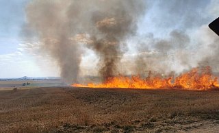 Beim Brand des Getreidefelds bei Rösebeck waren 80 Einsatzkräfte vor Ort. - FFW Borgenteich