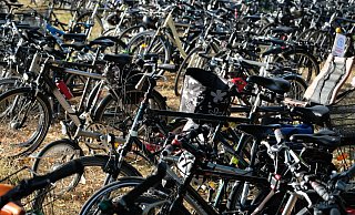 Am Montag schwingen sich wieder viele Menschen auf ihre Drahtesel, um für eine bessere Klimapolitik zu demonstrieren. - Andreas Frücht / Archiv