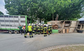 Der Viehanhänger des Gespanns stürzte auf die Seite. - Feuerwehr Borchen
