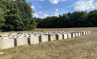 Gut 100 Betonquader sind an den Thune-Wiesen am Randbereich des Truppenübungsplatzes Senne abgestellt worden. - Marc Schröder