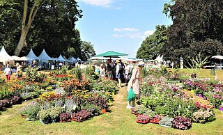 Ein Blick in die blühende Pflanzenwelt vor dem Schloss Corvey beim Gartenfest – wie ein Tag Urlaub, so Veranstalter Evergreen aus Kassel. - Simone Flörke