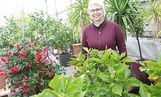 Monika Peters ist seit 2001 für die Pflanzen im Blumenhotel in Bad Lippspringe zuständig. Auch der rote Dipladenia-Busch fühlt sich dort wohl. - Uwe Müller