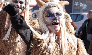 An einem so traumhaften Frühlingstag hüpfen auch die Ziegen glücklich durch die Gegend, wie hier beim Beverunger Rosenmontagsumzug. - Torsten Wegener