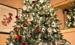 Von Arminia bis kitschig - an Weihnachten ist alles erlaubt. - Pixabay Creative Commons (Symbolbild)