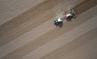 Ein Landwirt bestellt im brandenburgischen Jacobsdorf sein Feld. - Patrick Pleul/dpa
