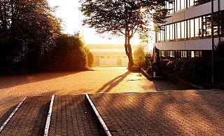 Flitzer Ernie hat sich laut Polizei auf einem Schulhof entblößt. - Symbolbild: Pixabay