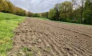 Ein Traktor hat diese Woche unterhalb der Promenade einen großen Teil der Wiese gepflügt und geeggt. - Hugo Reichenbach