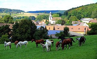 Schloss und Kirche prägen immer noch das Ortsbild von Rheder, das an diesem Wochenende sein 900-jähriges Bestehen feiert. Foto: Johannes Bröker - Johannes Bröker