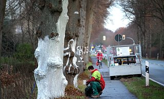 Weiß: Der Mitarbeiter der Straßenmeisterei streicht eine Kalk-Mineral-Mischung über die Stämme. - Andreas Frücht