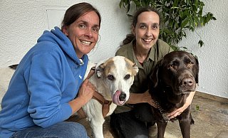 Die Tierärztinnen Karina Obermowe (l.) und Bianca Eickmann, hier mit den NW-Redaktionshunden Rocco und Lenny, wollen im Kreis Herford die ehemaligen Praxisräume, in denen sie zuvor als angestellte Veterinärinnen gearbeitet haben, wiederbeleben. - Matthias Bungeroth