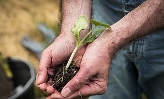 Gärtnern tut der Seele gut: Für viele ist Gartenarbeit ein Ausgleich zum Alltag und ein Weg zu besserer Stimmung. - Christin Klose/dpa-tmn