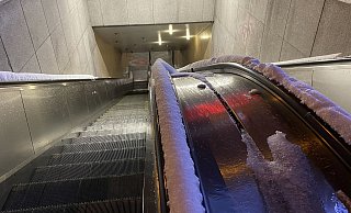 Dies sieht wahrhaftig nicht nach einem bequemen Schlafplatz aus. - Heimo Stefula