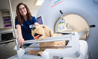 Das hochmoderne CT-Gerät von Siemens werde auch in der Humanmedizin verwendet, berichtet Wiebke Peukert, Oberärztin für Bildgebung im Tierärztlichen Zentrum. - Mike-Dennis Müller
