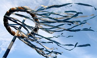 Der Maibaum wird traditionell zum Maianfang im Ortskern aufgestellt. Bis es so weit ist, wird zuvor an vielen Orten in den Mai getanzt. - Felix Eisele