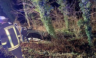 Einsatzkräfte der Feuerwehr Büren befreien den eingeklemmten Fahrer mit hydraulischen Werkzeugen aus dem Wrack des Peugeot. - Feuerwehr Büren