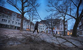 Die meisten Unfälle ereigneten sich durch umstürzende Bäume und herabfallende Äste. - Sarah Jonek
