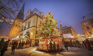 In OWL haben die Weihnachtsmärkte geöffnet. - Sarah Jonek