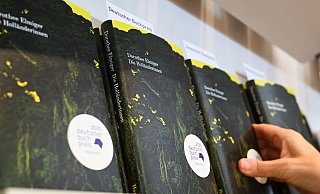 Es dürfte eines der aktuell gefragtesten Bücher sein, doch wer den Roman kaufen will, sucht mitunter vergeblich nach «Die Holländerinnen». - Arne Dedert/dpa