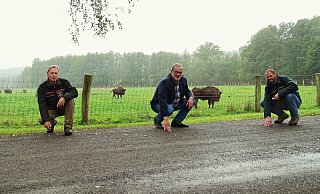 Wisentförster Rainer Glunz (v. l.), Johannes Thonemann, Bezirksverwaltungsstellenleiter aus Scherfede, und Roland Schockemöhle, Leiter des Regionalforstamtes Hochstift, begutachten die neue Decke. - Wald und Holz