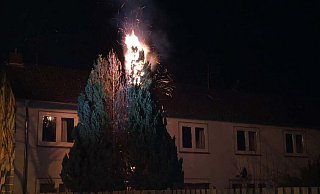An der Rathenaustraße wurde ein Lebensbaum angezündet. - Polizei Paderborn