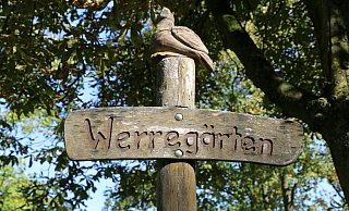 Alles neu in den Herforder Werregärten. Die Pläne stehen, nun geht es an die Umsetzung. Noch 2025 soll es losgehen. - Stadt Herford