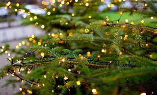 Bevor die Weihnachtsbäume an die Straße gestellt werden können, müssen sie komplett abgeschmückt werden. - Pixabay (Symbolbild)