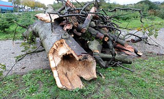 Der Sturm "Sabine" beschäftigt auch den Kreis Minden-Lübbecke. - (Symbolbild): Frank-Michael Kiel-Steinkamp