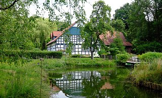 Idylle: Im Teich schwimmen Karpfen. Libellen sausen über die Wasserfläche und das Vierständerhaus fügt sich harmonisch ins Gelände ein Elf Morgen Land, also 27.000 Quadratmeter, gehören zum Haus. Wiesen, Wald und Sumpf machen den Großteil aus. - Thorsten Gödecker