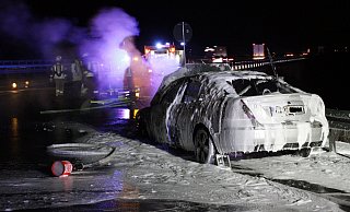 Einsatzkräfte der Warburger Feuerwehr haben den Brand mittels Löschschaum gelöscht und die Einsatzstelle gesichert. - Dieter Scholz
